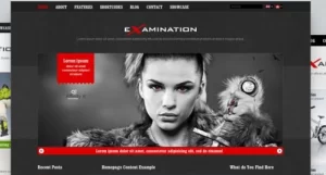 AIT – Examination WordPress Theme 1.27 GPL Theme