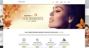 AIT – Solitudo WordPress Theme 3.0.8 GPL Theme