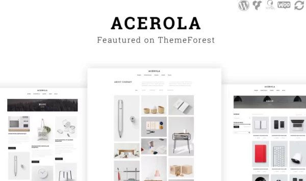 Acerola Ultra Minimalist Agency WordPress Theme 1.6.5 GPL Theme