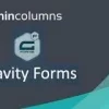 Admin Columns Pro Gravity Forms 1.2破解版插件