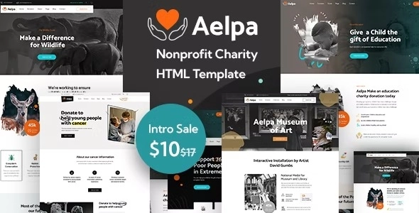 Aelpa Nonprofit Charity WordPress Theme 1.3 GPL Theme