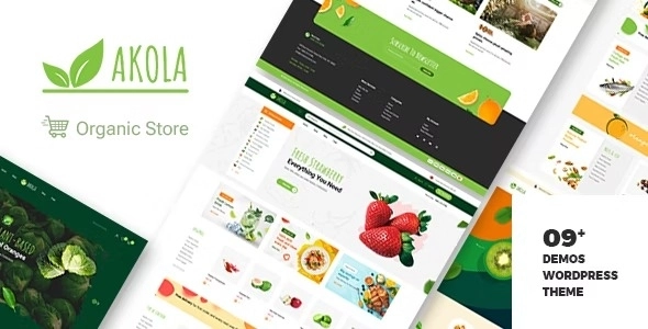 Akola Organic Food Store WordPress Theme 1.0.8 GPL Theme