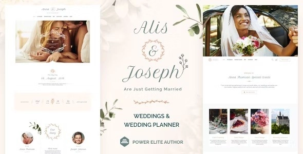 Alis Wedding Planner WordPress Theme 13.3 GPL Theme