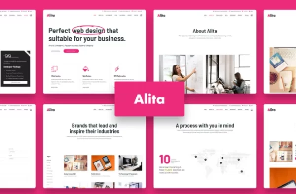 Alita Web Studio WordPress Theme 1.0.2 GPL Theme