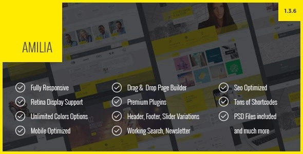 Amilia Multipurpose One Multi Page WP Theme 1.3.6.1 GPL Theme