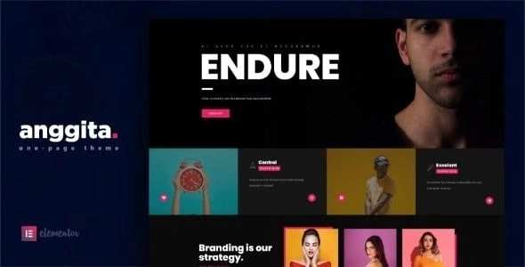 Anggita One Page Portfolio Theme 1.1 GPL Theme