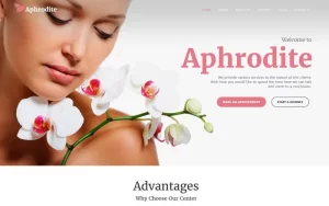 Aphrodite Beauty SPA Salon Responsive WordPress Theme 1.0.0 GPL Theme