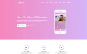 Appin Apps Responsive WordPress Theme 1.0.0 GPL Theme