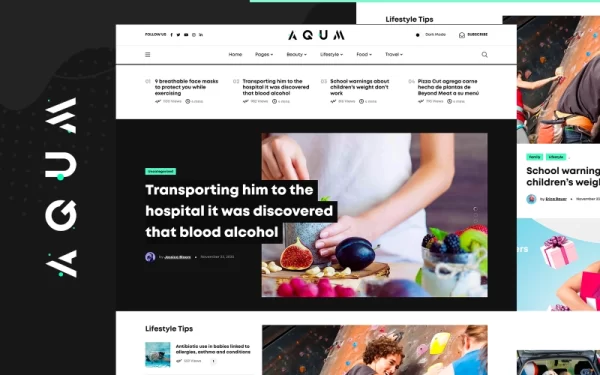 Aqum | Contemporary News and Magazine WordPress Theme 1.0.0 GPL Theme