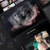 Ashade Photography WordPress Theme 4.1破解版主题