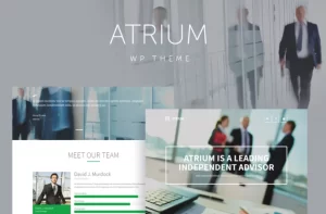 Atrium Finance Consulting WordPress Theme 2.7 GPL Theme