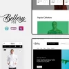 Bellery Modern Minimal WooCommerce Theme 1.0.7破解版主题