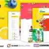 Biolife Organic Food WordPress Theme RTL Supported 3.0.3破解版主题