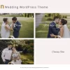 Brian Wedding WordPress Theme 1.0破解版主题