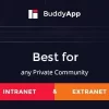 BuddyApp 1.9.2破解版主题