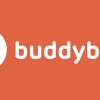 BuddyBoss Child Theme 1.0.1破解版主题