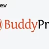 BuddyPress Community Builder Pro 2.1.3破解版主题