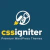 CSSIgniter SixtyOne 2.10.1破解版主题