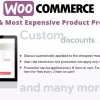Cheapest Most Expensive Product Promotions 3.6破解版插件