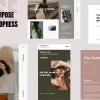 Craise Multi Purpose WordPress Portfolio Theme 1.0.8破解版主题