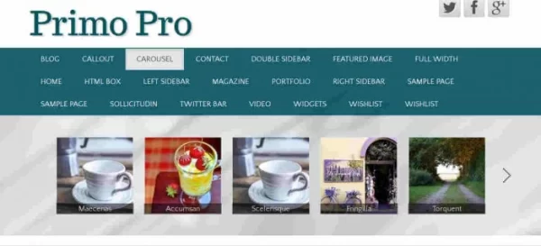 CyberChimps Primo Pro WordPress Theme 1.5 GPL Theme