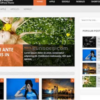 DayNight – Responsive WordPress Blog Theme 1.1.1破解版主题