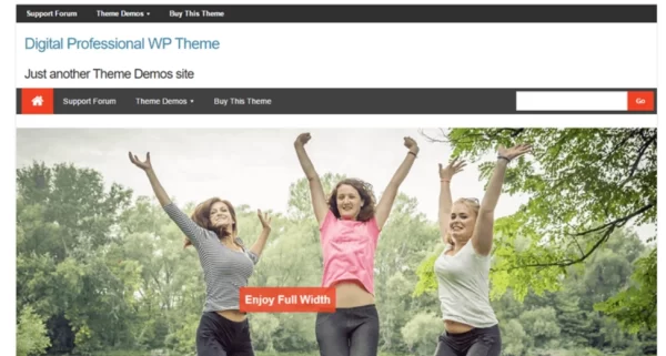 Digital Pro WordPress theme provided by InsertCart 4.0 GPL Theme