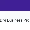 Divi Business Pro 1.0.15破解版主题
