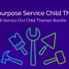 Divi Multipurpose Service Child Theme 1.1.7破解版主题