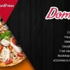 Domnoo 1.28破解版主题