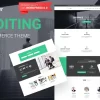 EasyAudit Auditing WordPress Theme 1.0.1破解版主题