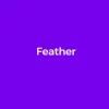 Elegant Themes Feather 3.2.13破解版主题