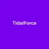 Elegant Themes TidalForce 5.2.13破解版主题