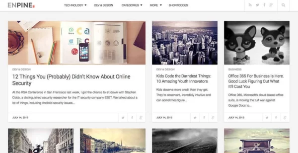 FameThemes Enpine WordPress Theme 1.3.0 GPL Theme