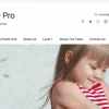 FameThemes Passionate Pro WordPress Theme 1.3.2破解版主题
