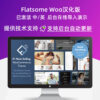 Flatsome 最火的WooCommerce主题 WordPress主题Flatsome付费版 外贸电商网站主题模板