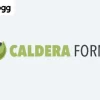Groundhogg – Caldera Forms Integration 2.0.1破解版插件