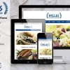 Hellas – Greek Restaurant WordPress Theme 1.07破解版主题