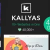 KALLYAS 4.19.7破解版主题