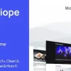 Kalliope – Modern Blog WordPress Theme 1.5破解版主题