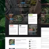 Koala WordPress Magazine Blog Theme 4.1.0破解版主题