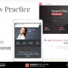 LAWPRACTICE Lawyer Responsive WordPress Theme 3.5破解版主题