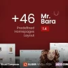 Mr.Bara Responsive Multi Purpose eCommerce WordPress Theme 1.9.7破解版主题