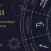 Mysta Astrology Numerology WordPress Theme 1.06破解版主题