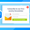 Newsletter – Fluent Forms 1.1.2破解版插件