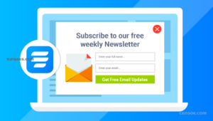 Newsletter – Fluent Forms 1.1.2 GPL Plugins