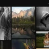 Niftyfifty – Photography WordPress Theme 1.2.1破解版主题