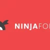 Ninja Forms Layout and Styles Addon 3.0.29破解版插件