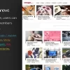 Omago News User Profile Membership Content Sharing Theme 1.9破解版主题