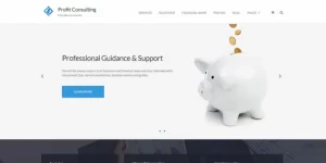 Profit – WordPress Accounting Theme 1.6.5 GPL Theme